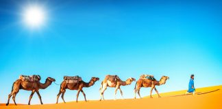 10 locais incríveis do deserto às cidades para descobrir em Marrocos