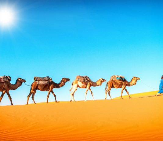 10 locais incríveis do deserto às cidades para descobrir em Marrocos