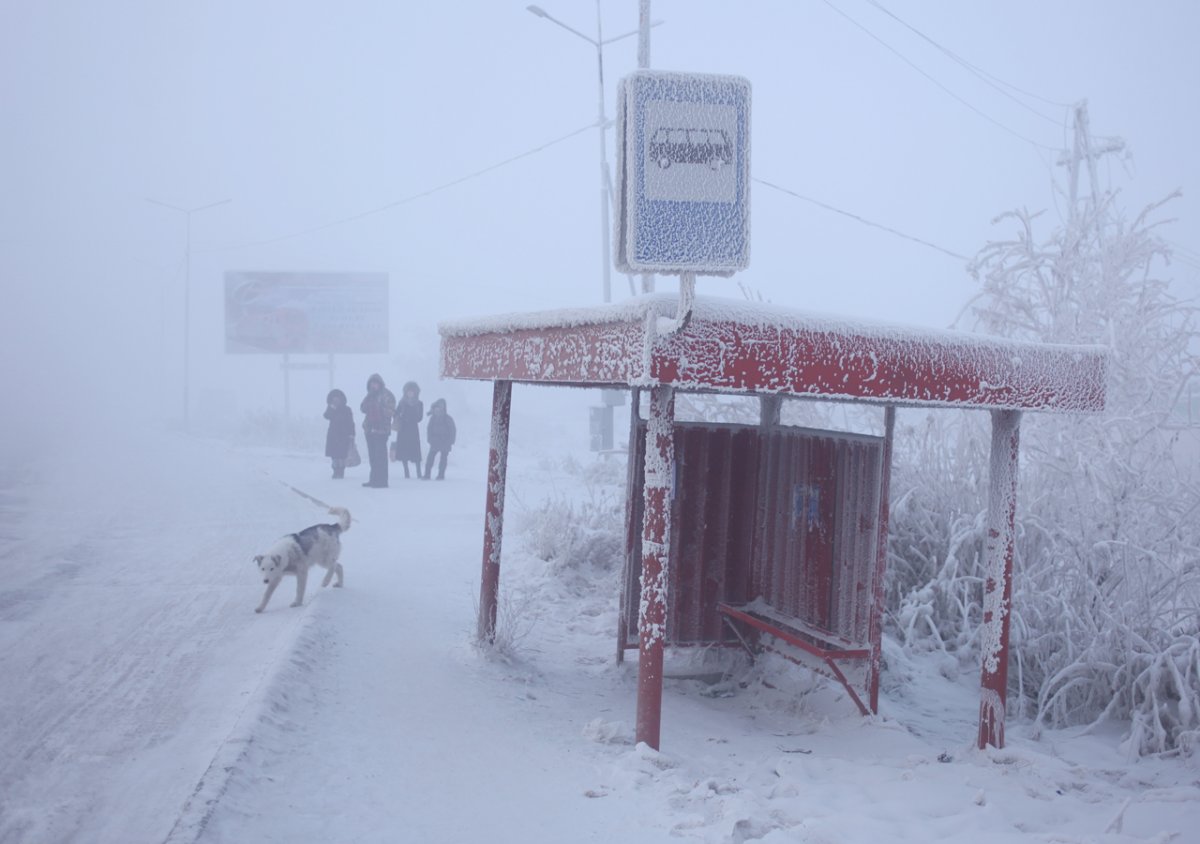 how-do-locals-deal-with-the-extreme-cold-russki-chai-literally-russian-tea-which-is-their-word-for-vodka-chapple-told-the-weather-channel
