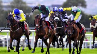 Galway Races: apostas em corridas de cavalos na Irlanda