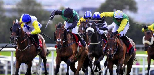 Galway Races: apostas em corridas de cavalos na Irlanda