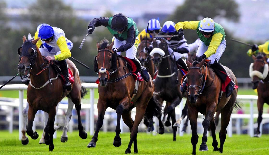 Galway Races na Irlanda: apostas em corridas de cavalos
