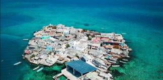 A estranha ilha com maior densidade populacional do mundo onde não há crime