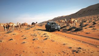 Omã: expedição todo o terreno com Volkswagen