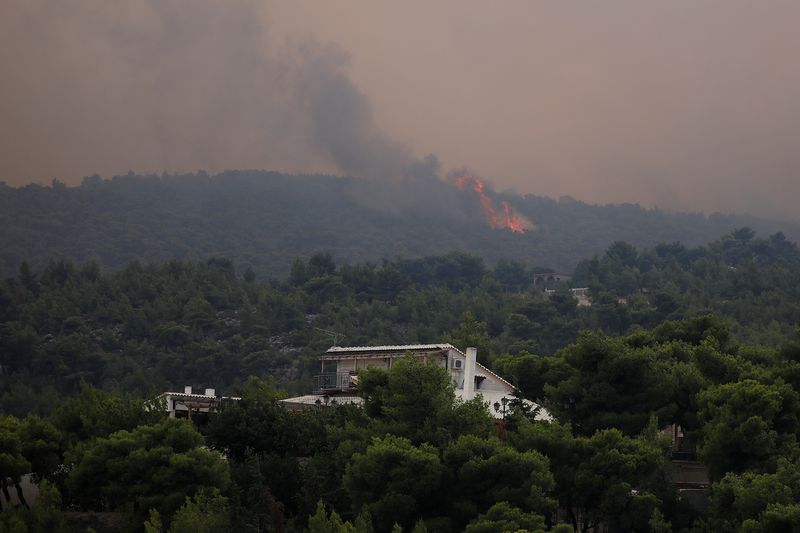 Wildfire burns in Kineta, near Athens