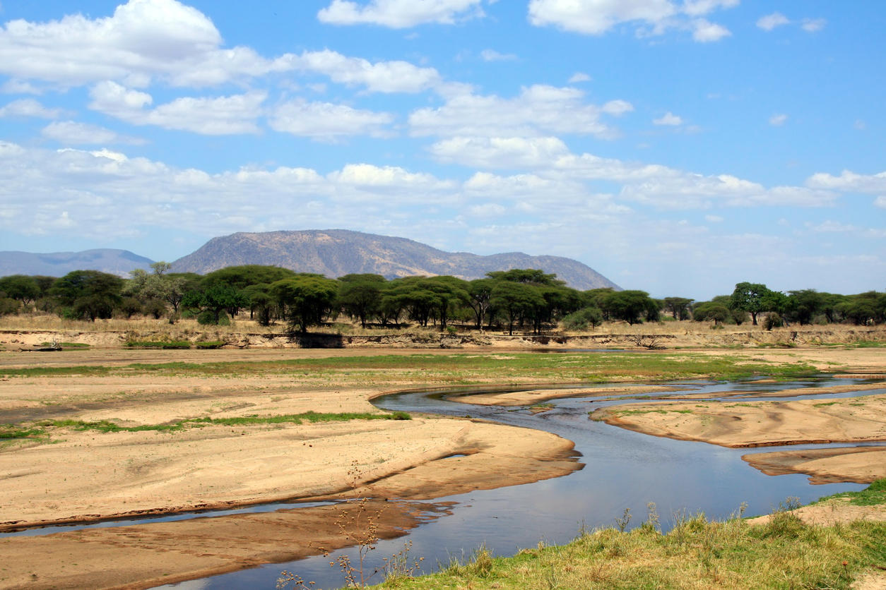 Ruaha river in dry season, African landscape