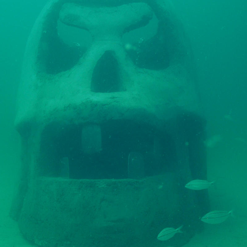 Skull-Underwater