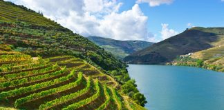 Portugal: viagens de sonho sem sair do país