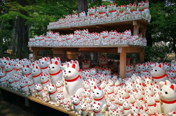 Em Tóquio, templo de gatos da sorte atrai instagramers de todo