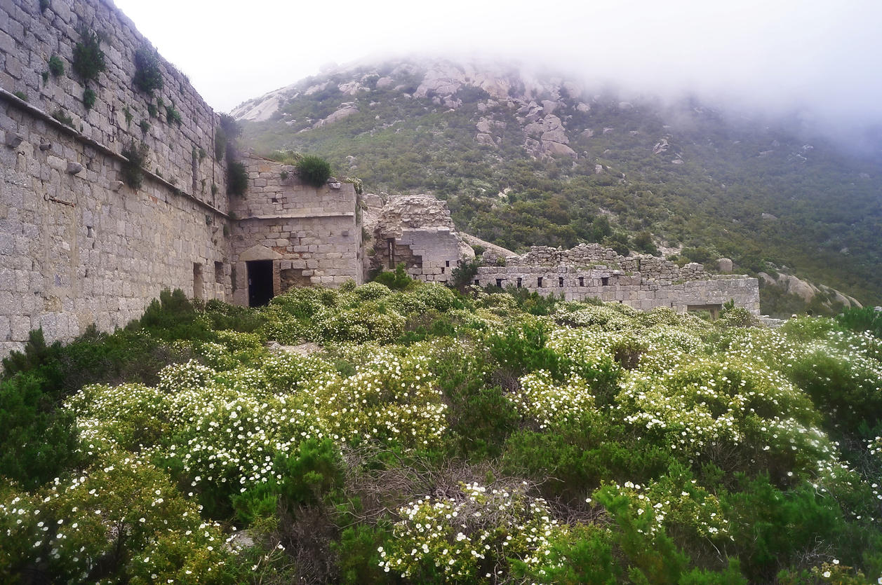 Monastery of San Mamiliano, Montecristo Island