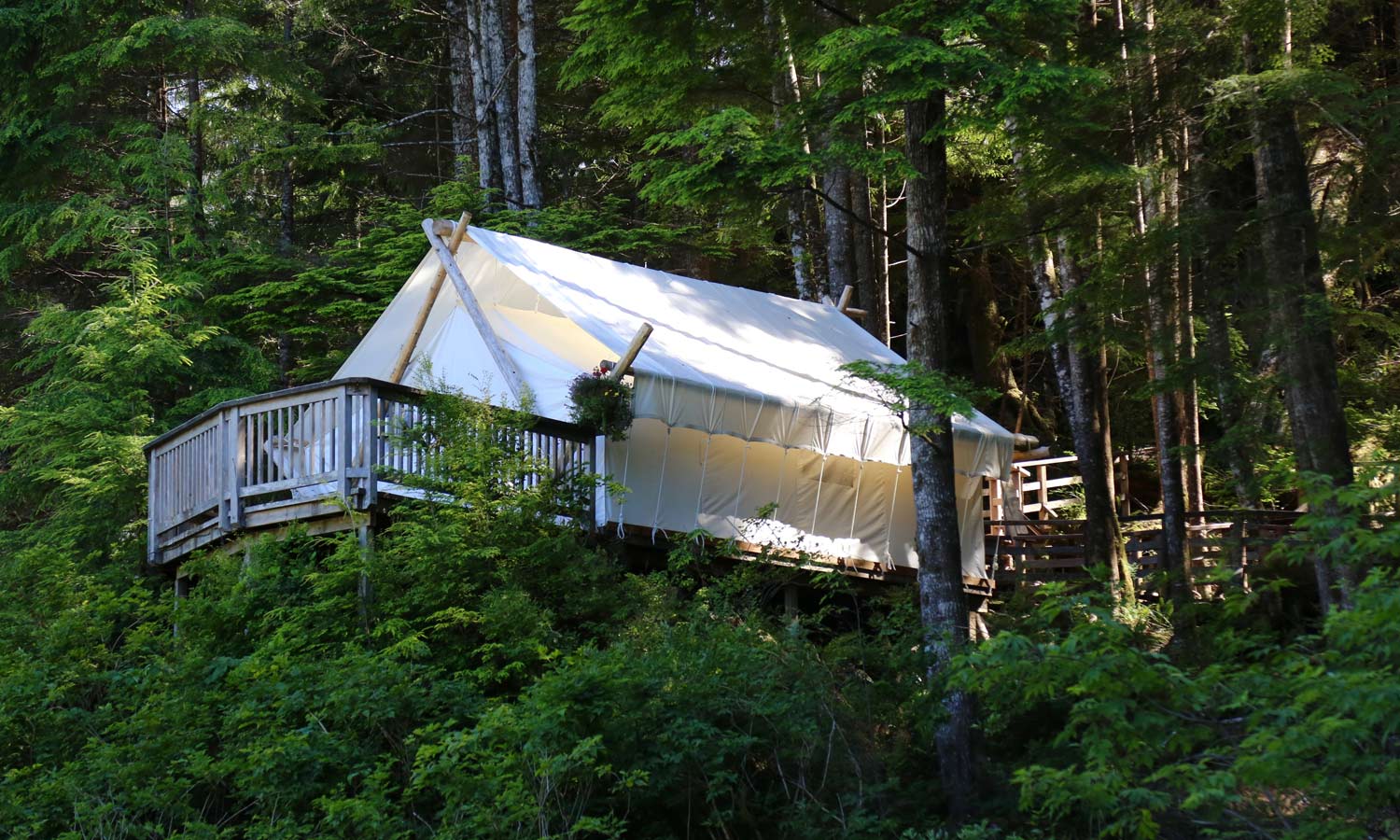 CWR-Deluxe-Tent-in-the-Trees-5×3