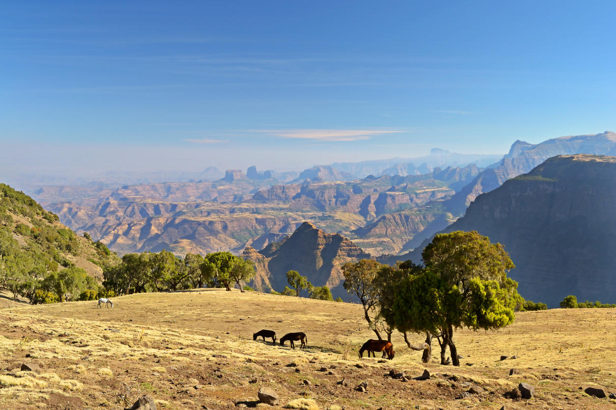 Panorama, Simien Mountains, Ethiopia