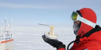 É isto que acontece à comida quando exposta a temperaturas negativas na Antártida