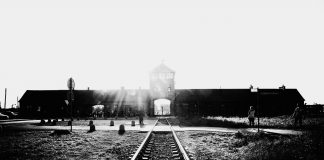 Auschwitz: portfólio num dos lugares mais sinistros do planeta