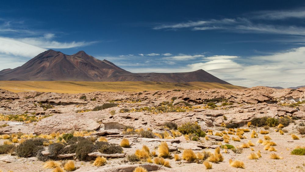 Atacama Desert, Chile_shutterstock_561125371_resultado