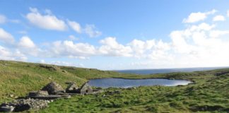Esta ilha deserta na costa da Irlanda está à venda - é uma oportunidade única
