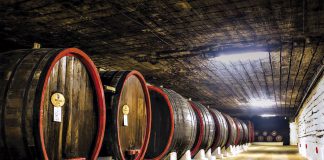 Dumitru Socolan: o vinho faz parte da cultura moldava