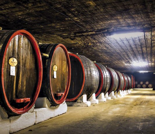 Dumitru Socolan: o vinho faz parte da cultura moldava