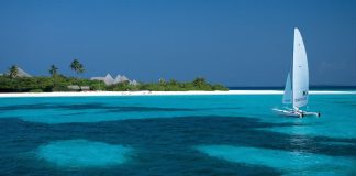 Resort nas Maldivas oferece viagem e estadia se ajudar no resgate de tartarugas