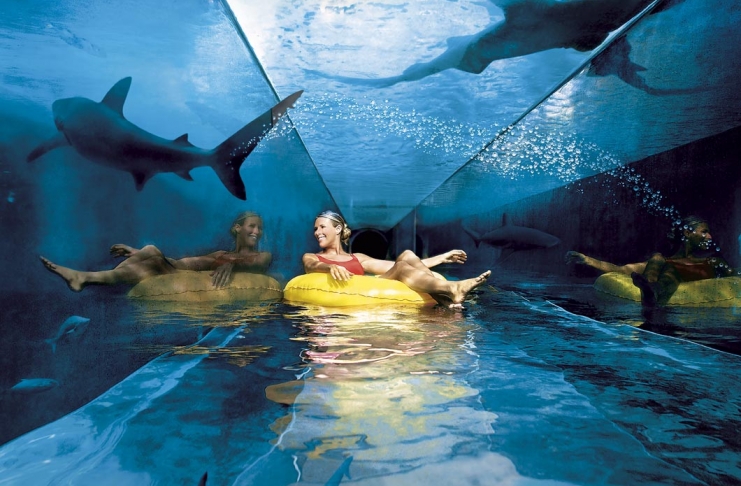 Atlantis-Paradise-Island-Pool-of-Shark[1]