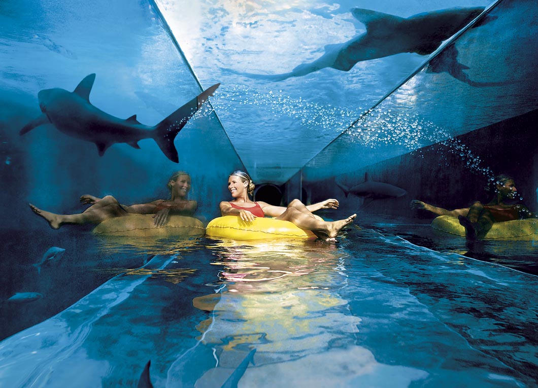 Atlantis-Paradise-Island-Pool-of-Shark[1]