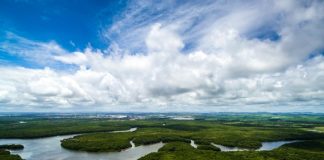 10 santuários da Natureza para aprender a preservar melhor do que a Amazónia