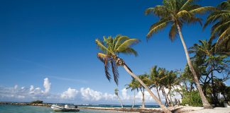 Guadalupe e Martinica: praia, sol, rum, natureza, música e história