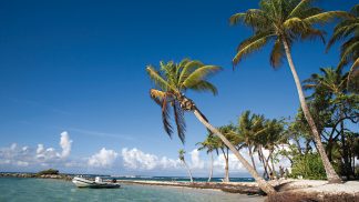 Guadalupe e Martinica: praia, sol, rum, natureza, música e história
