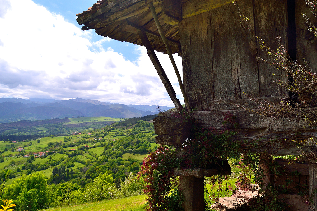 El-paisaje-rural-asturiano-estÃ¡-dominado-por-tradicionales-graneros-de-madera-hÃ³rreos-